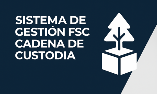 miniatura del curso